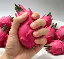 Handmade Simulation Pitaya Bui - đánh giá và giá Building Blocks
